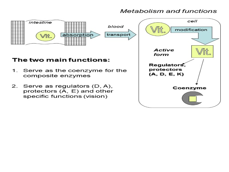 Metabolism and functions blood cell transport Vit. Vit. Coenzyme Regulators, protectors (A, D, E,